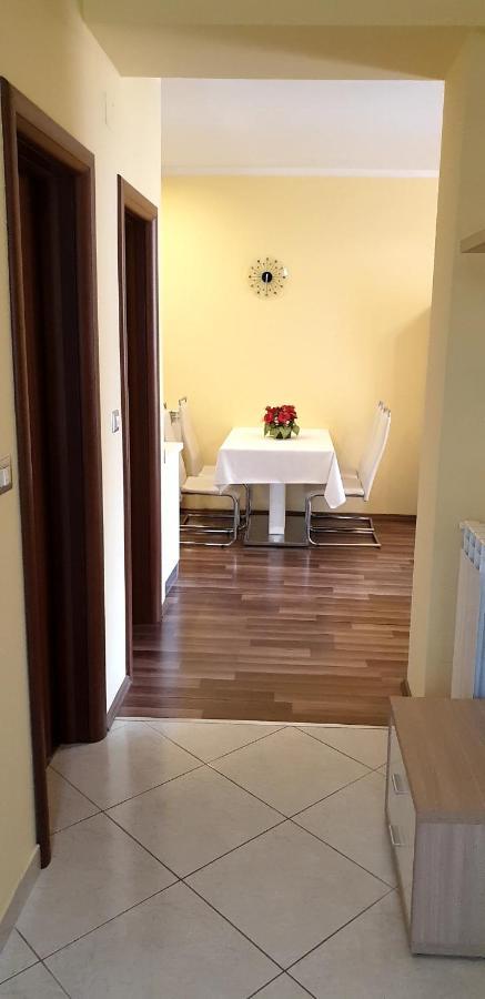Lili Apartment Novigrad  Bagian luar foto